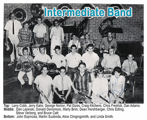 Intermediate Band
